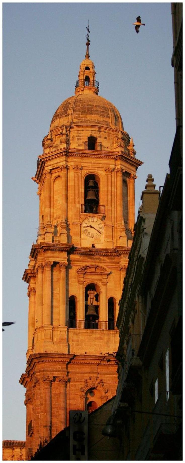 דירות מאלגה Nuestro Rincon Del Centro Historico Especial Grupos Terraza Parking Gratis 02 מראה חיצוני תמונה